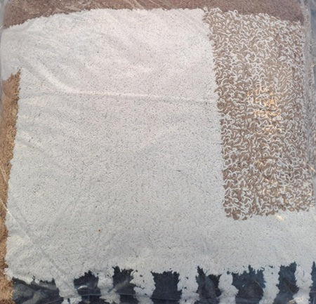 Prydnadskudde Brun/vit 45x45cm 2-pack