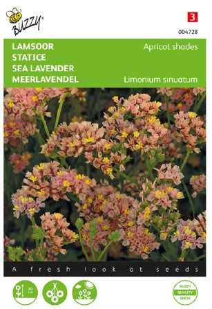 Blårisp 'Apricot shades'