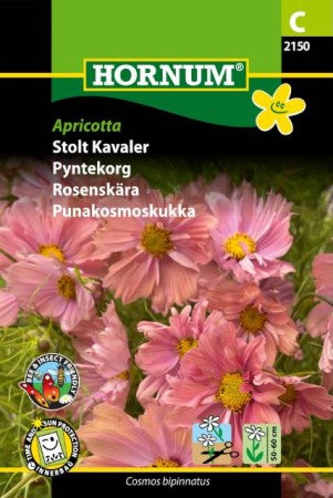 Rosenskära 'Apricotta'