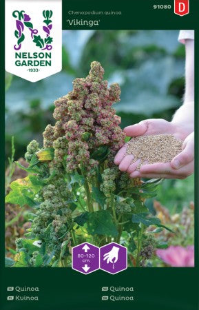 Quinoa 'Vikinga'
