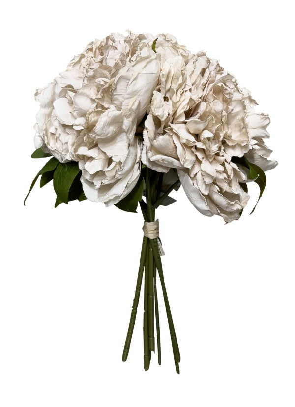 PEONY HYDRANGEA BUNDLE DRY WHITE