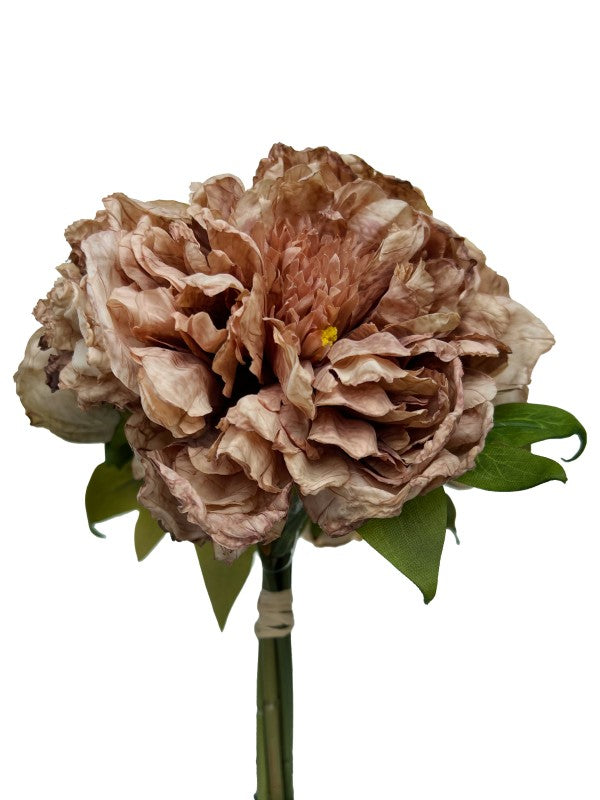 PEONY HYDRANGEA BUNDLE DRY BEIGE