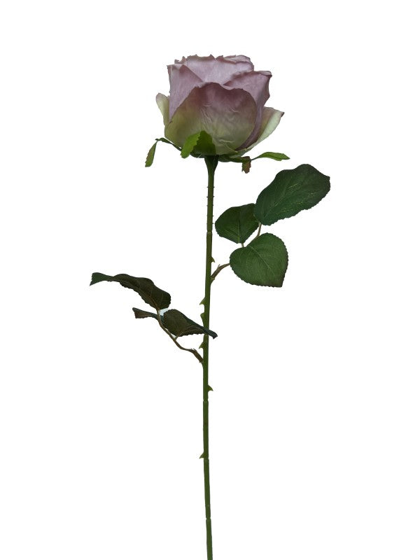 ROSE SINGLE LIGHT PURPLE