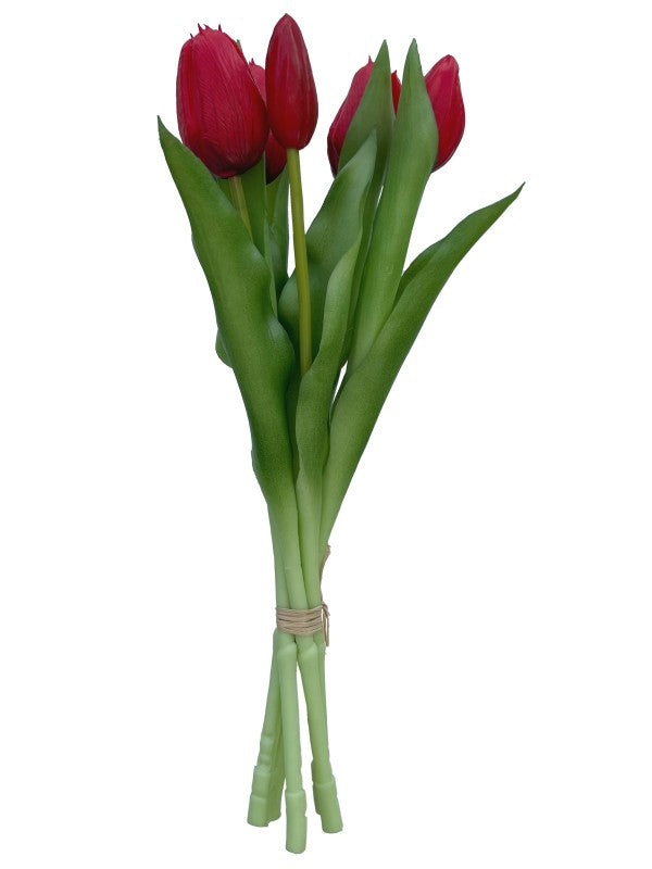 TULIP BOUQUET RED