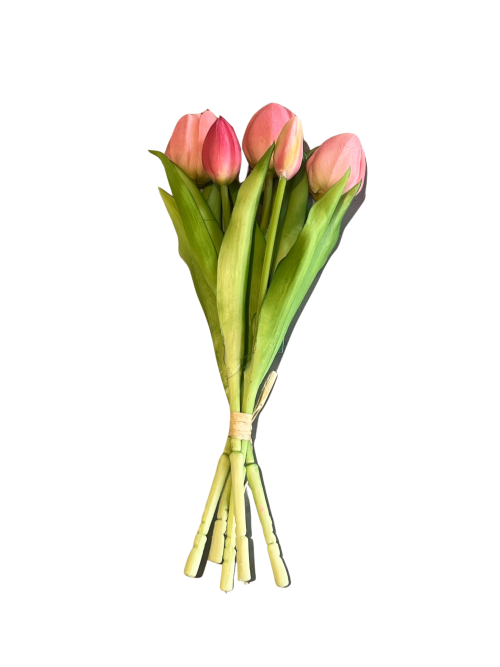 TULIP BOUQUET 5PCS NEW PINK H30