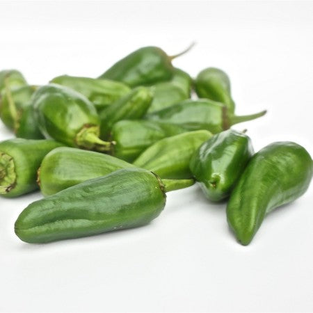 Chili 'Padron' 10,5cm kruka