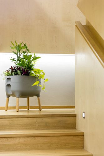 Odlingslåda 'Urbalive Low Planter' Anthracite