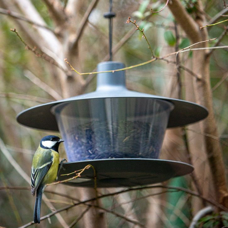 Foderautomat 'Finch' Anthracite