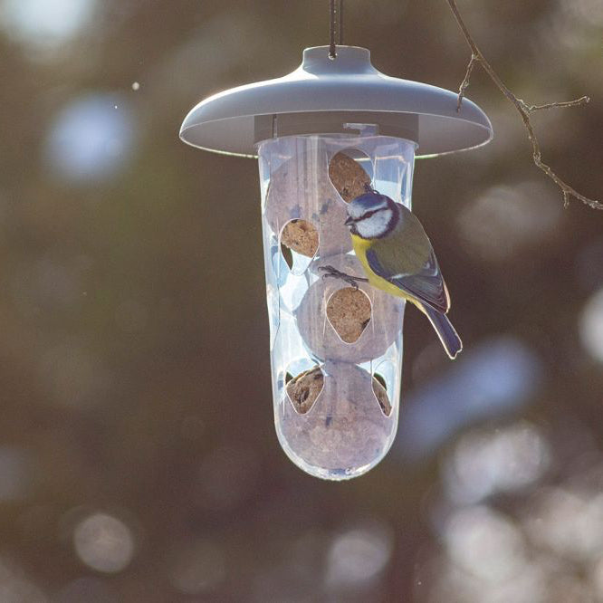 Foderautomat 'Robin' Anthracite