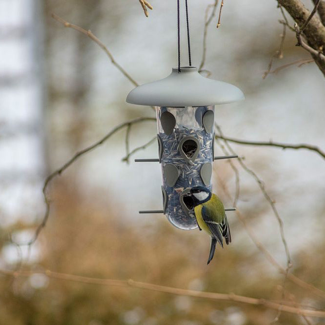 Foderautomat 'Robin' Anthracite