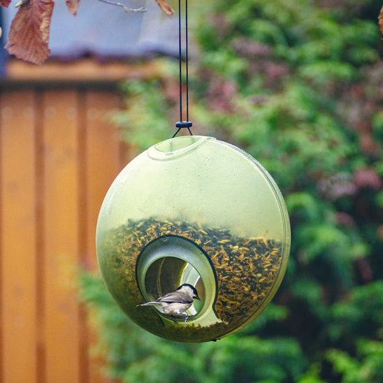 Foderautomat 'Berry' Green