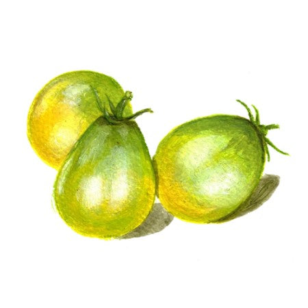 Dwarftomat 'Grinch Cherry'