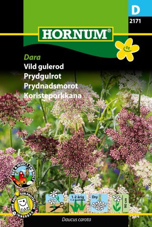 Blomstermorot 'Dara'