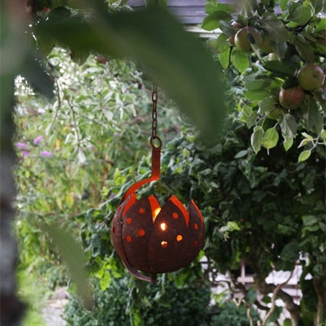 Marschallhållare, Tulpan, hängande