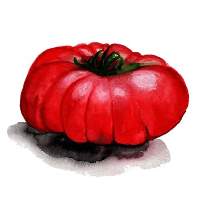 Biffftomat 'Arctic Rose' Svenskodlat frö