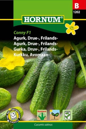 Frilandsgurka 'Conny' F1 frö