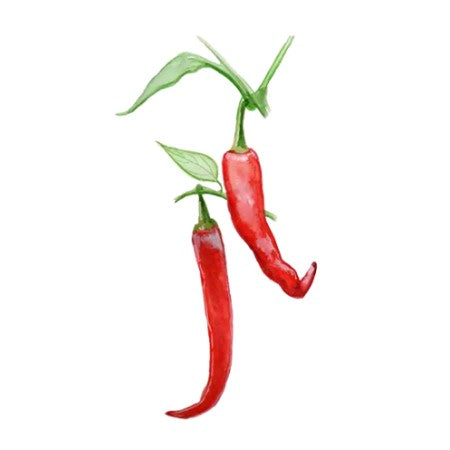 Chili 'De Cayenne'