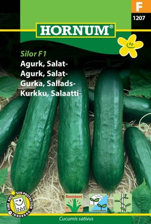 Salladsgurka 'Silor' F1 frö
