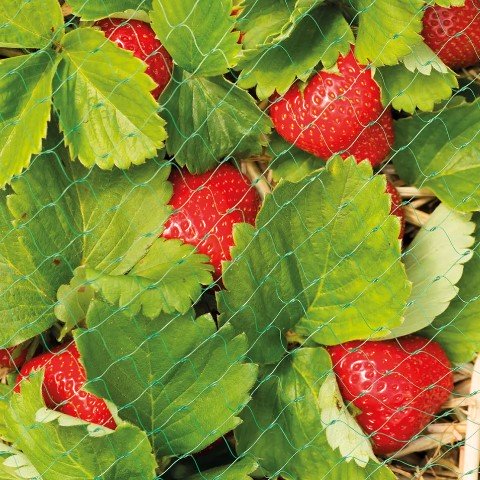 PRIMA Bärnät Grön 4x10m