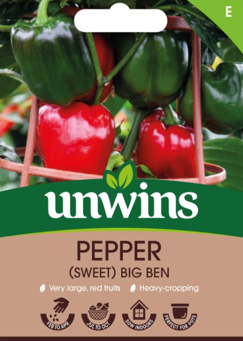 Paprika 'Big Ben'