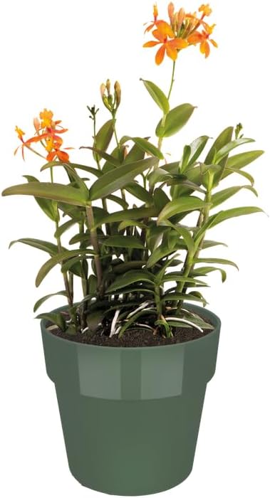 b.for Original Rund Ytterkruka 16cm Leaf Green