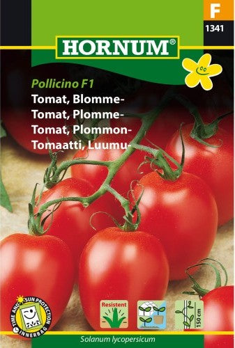Plommontomat 'Pollicino' F1 frö