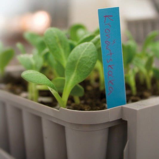 Miniväxthus Pluggbox