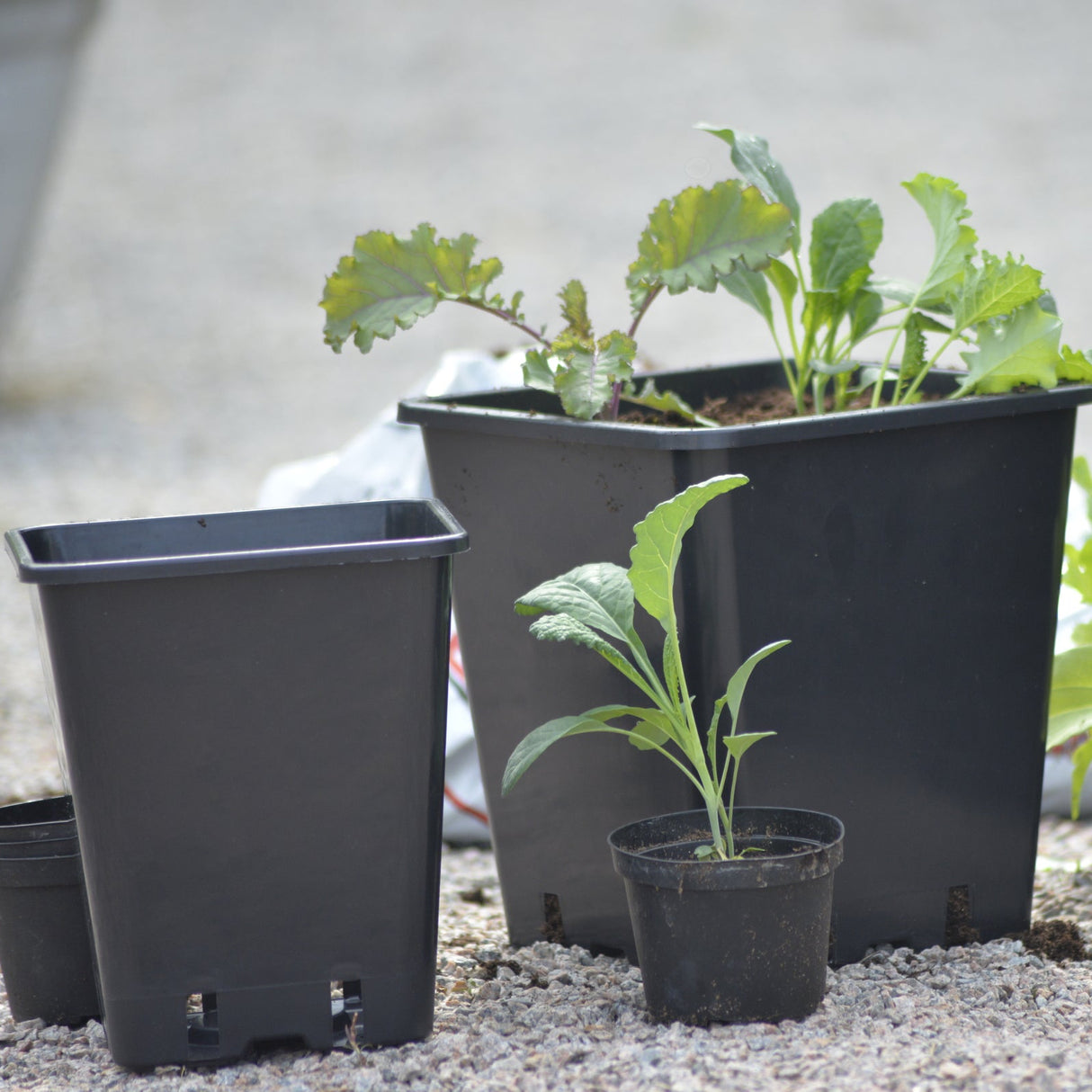 Planteringskruka 20x23cm Svart