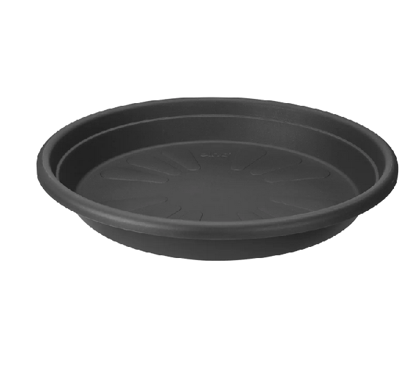 Universal Fat 35cm Anthracite