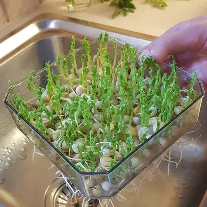 Sproutly: Stapelbar Odlingslåda för groddar Svart