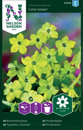 Blomstertobak 'Lime Green'