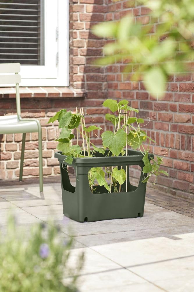 Green Basics Stack n Grow - Leaf Green