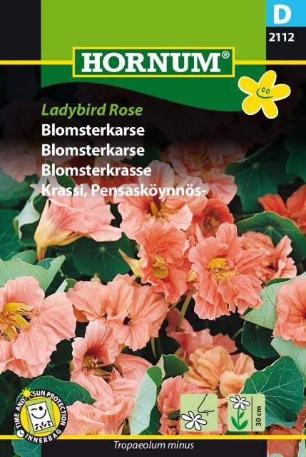 Dvärgkrasse 'Ladybird Rose'