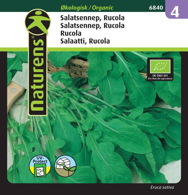 Rucola EKO