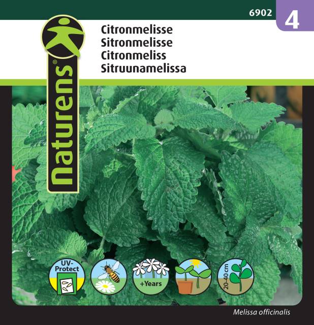Citronmeliss