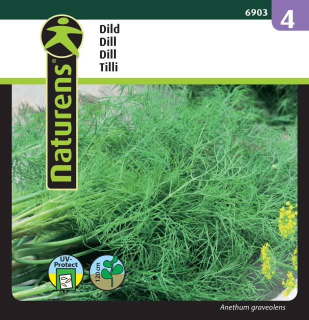 Dill