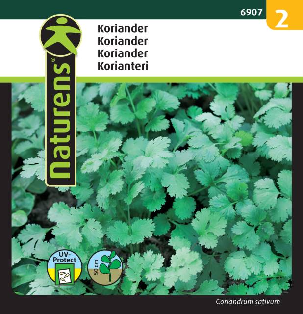 Koriander
