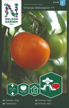 Bifftomat XL 'Orange Wellington' F1