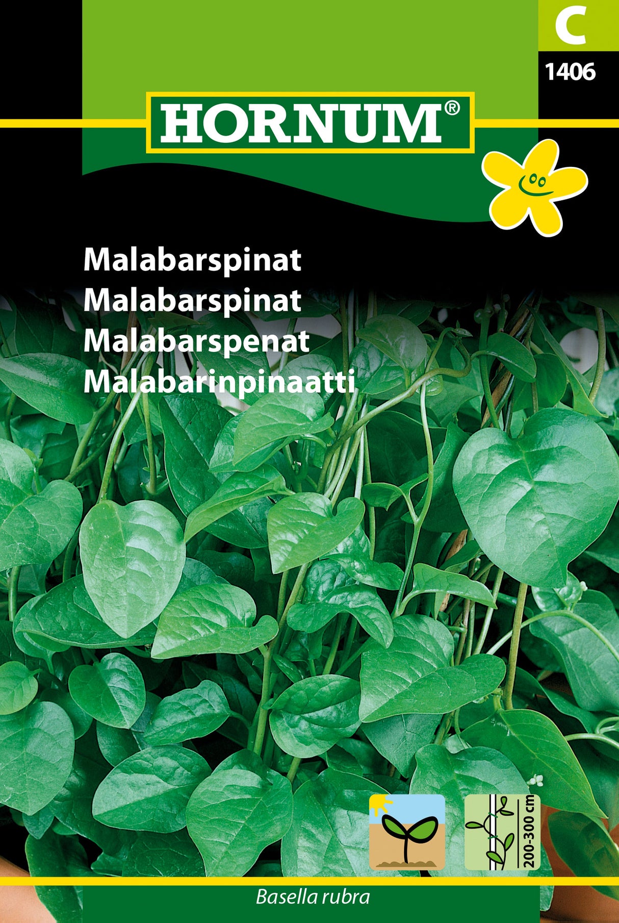 Malabarspenat frö