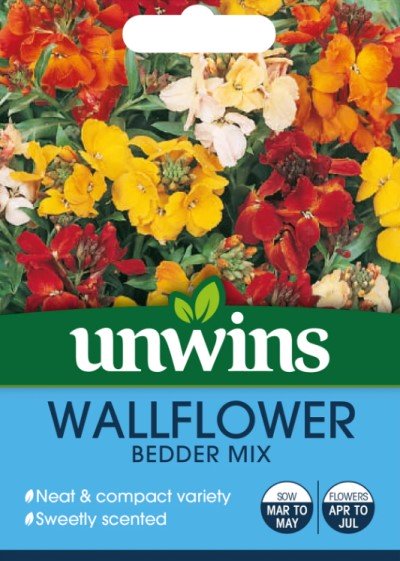 Gyllenlack 'Bedder Mix'