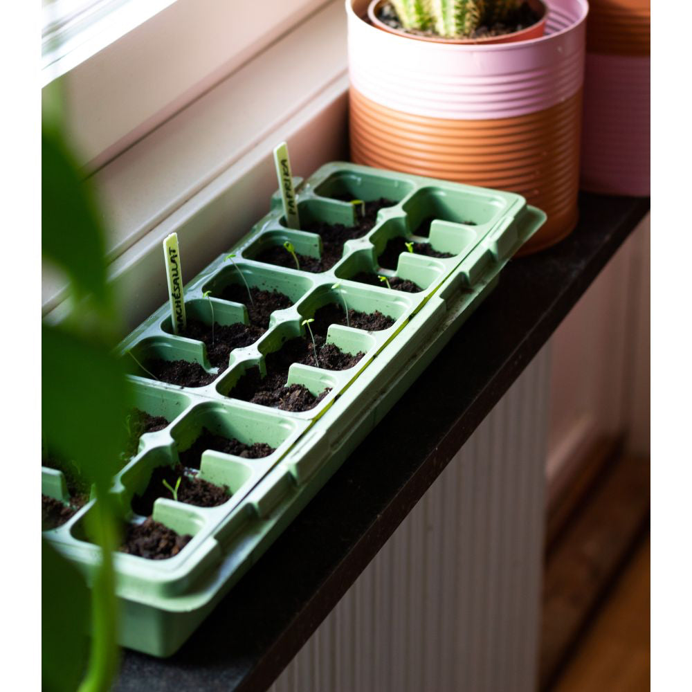 Drivhus WINDUO 2st Grön