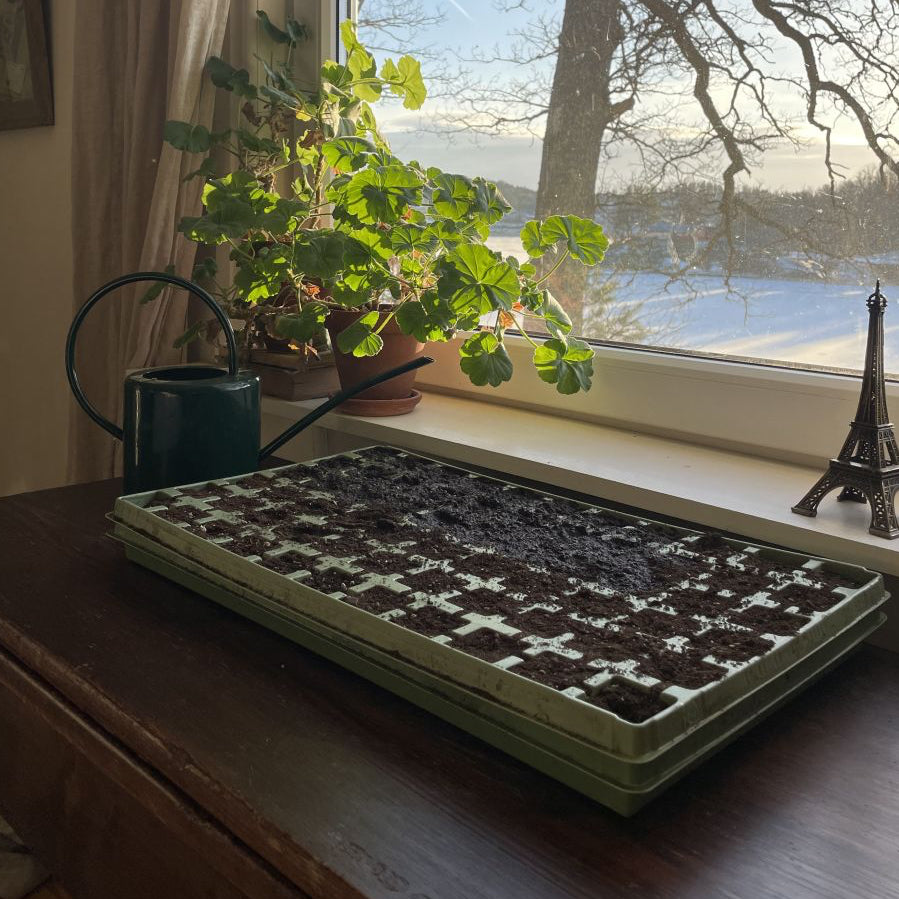 Pluggbrätte 66 Grön