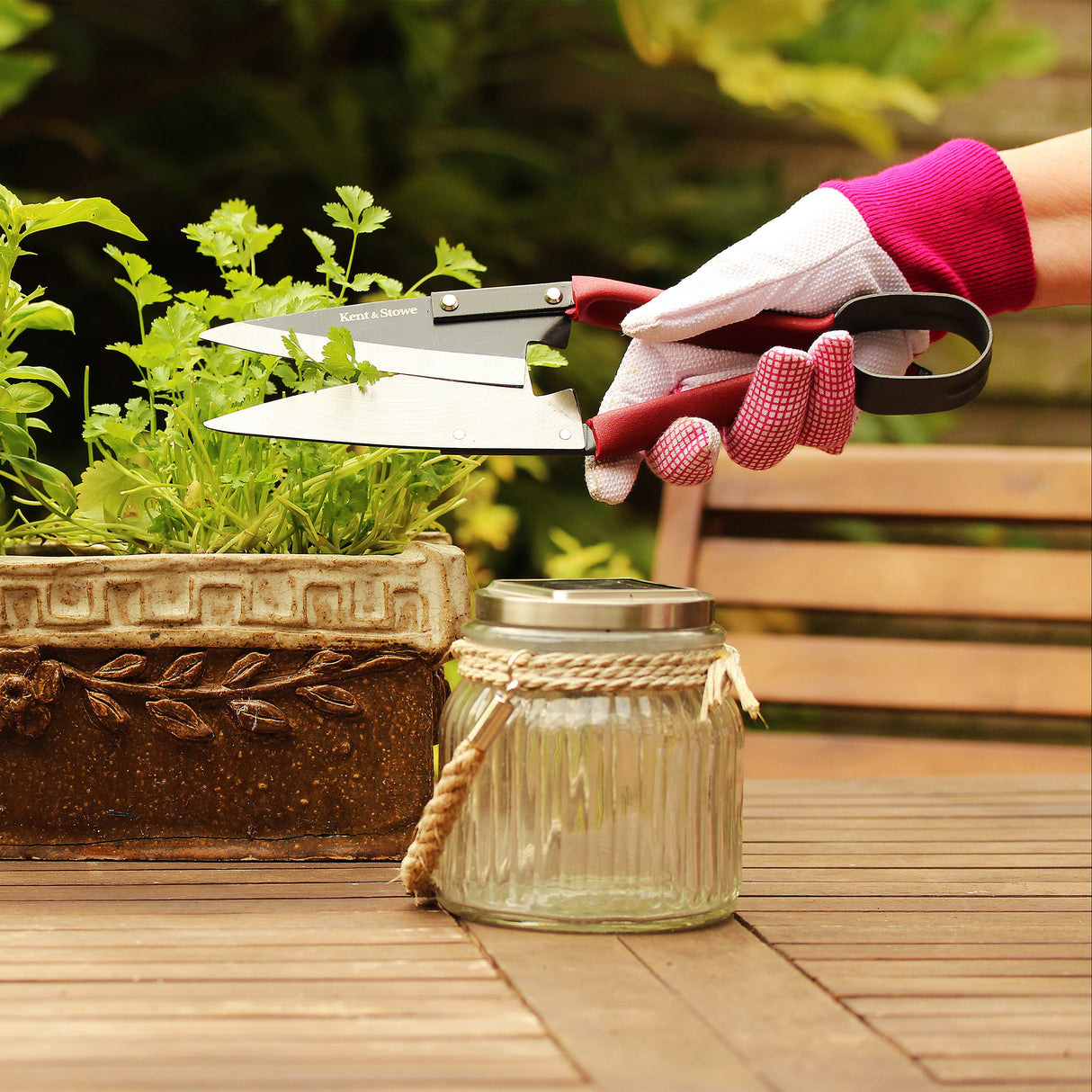 Kent & Stowe CS Buxbomsax 'Topiary' Stor