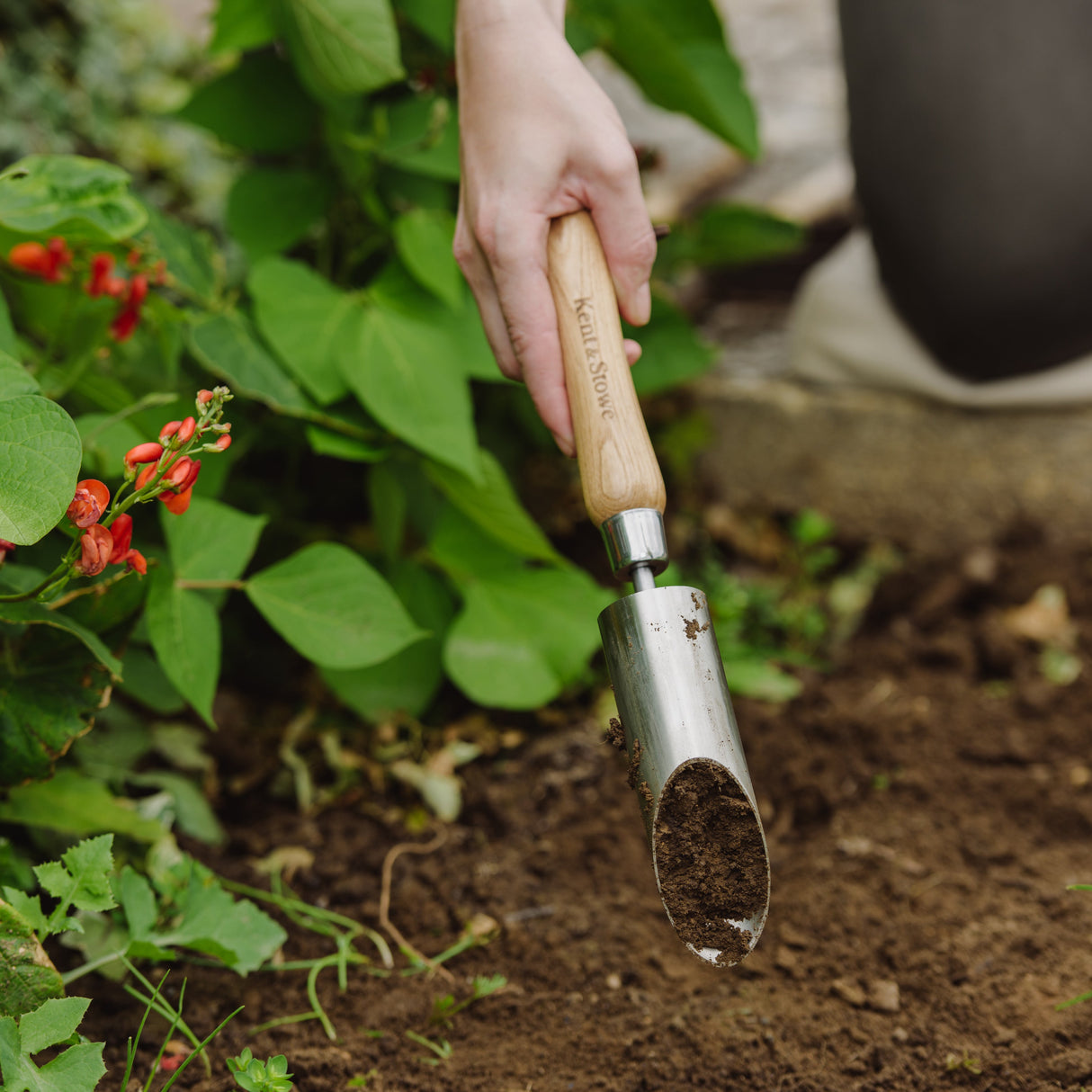 Kent & Stowe Lökjärn Liten