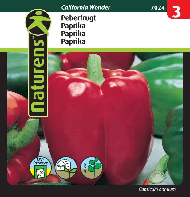 Paprika 'California Wonder'