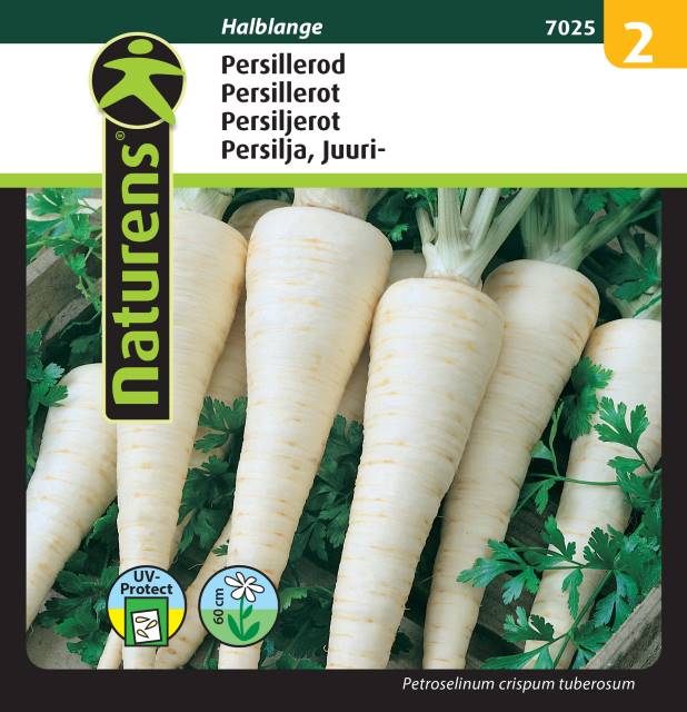 Persiljerot 'Halblange'