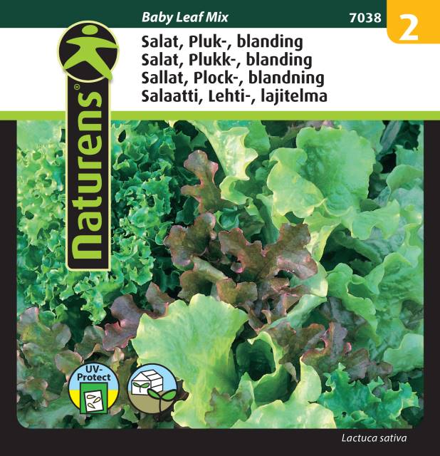 Plocksallat Mix 'Baby Leaf'