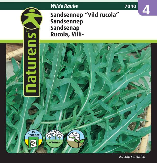 Sandsenap / Vild Rucola 'Wilde Rauke'