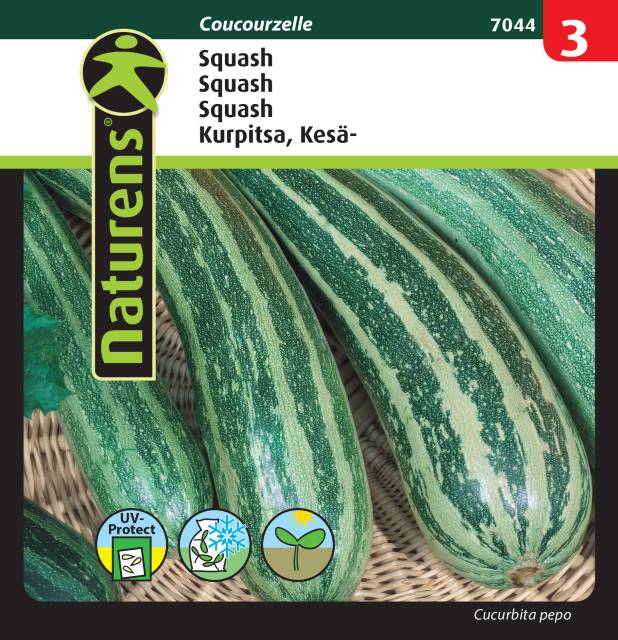 Squash 'Coucourzelle'