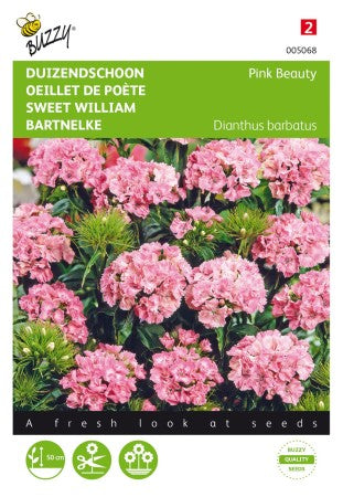 Borstnejlika 'Pink Beauty'